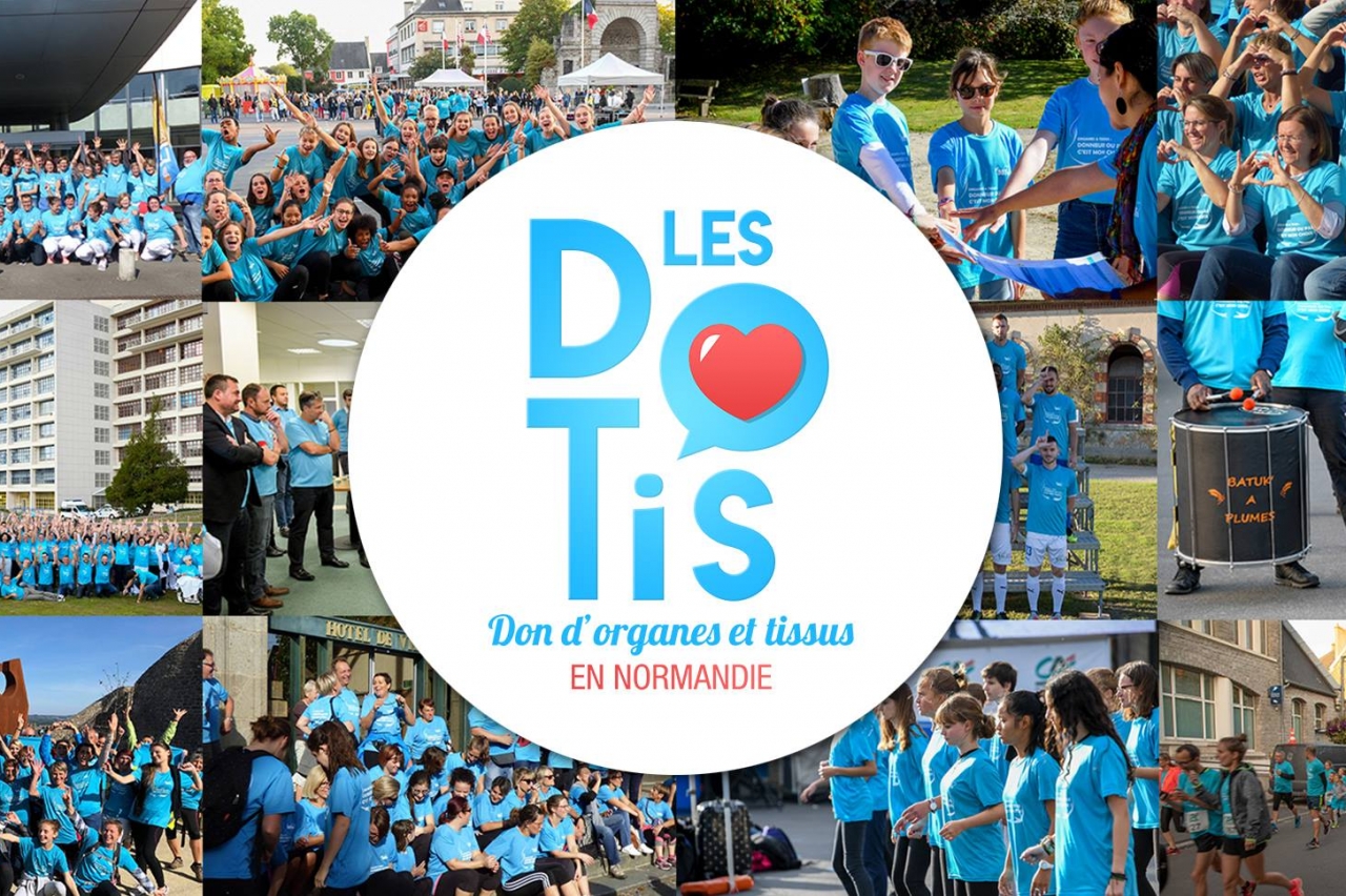 Saint-Lô : Les Dotis